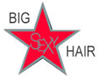 big sexy logo